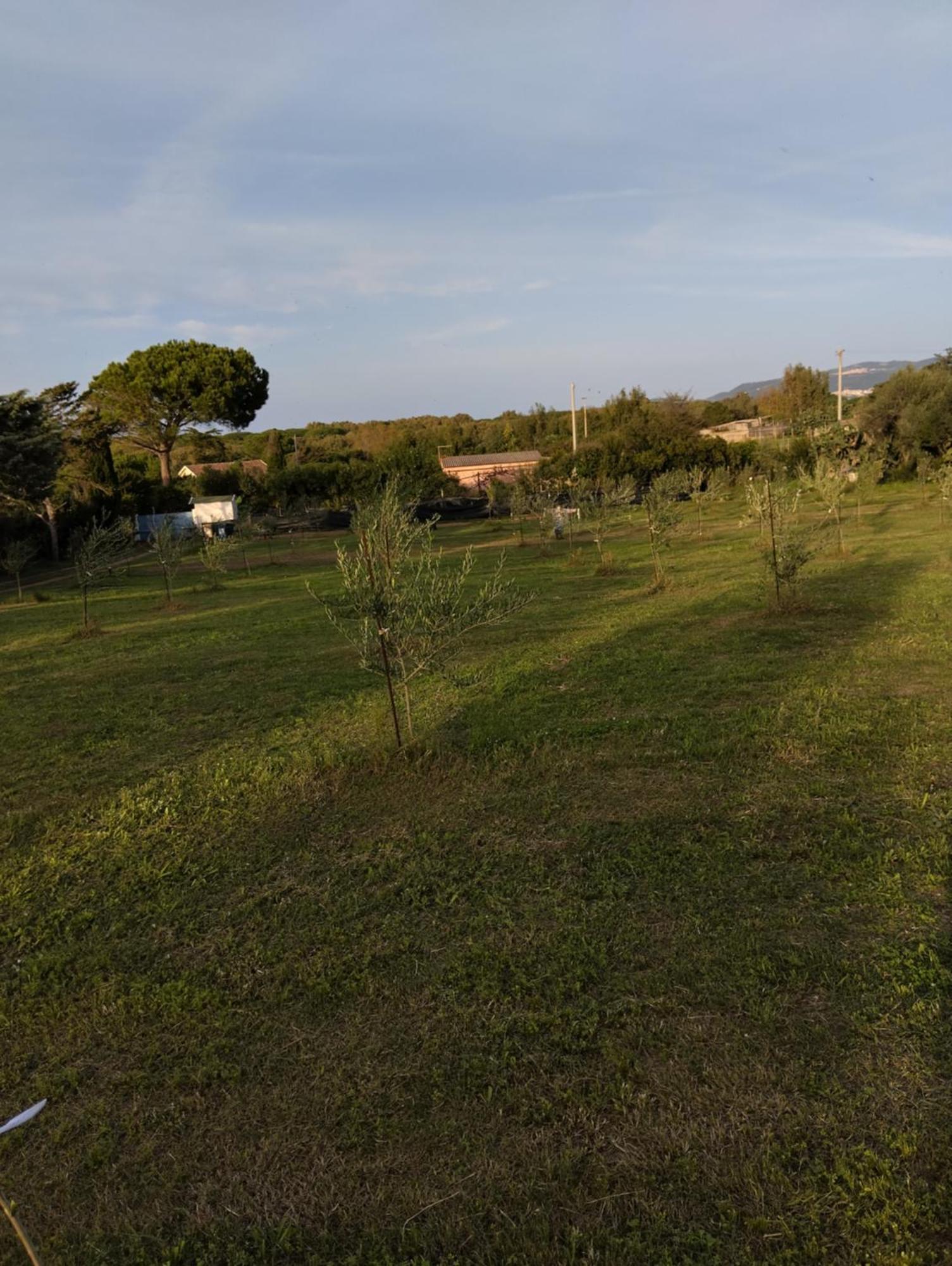 Terra Appartement Valledoria  Buitenkant foto