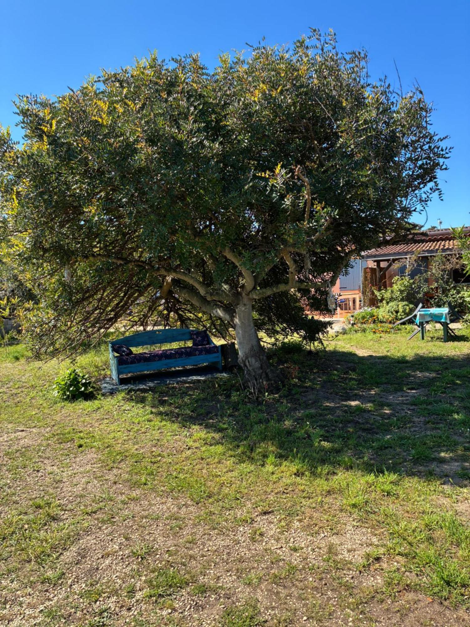 Terra Appartement Valledoria  Buitenkant foto